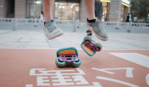 メディア掲載情報