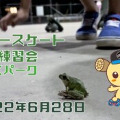 6月28日 茨城練習会