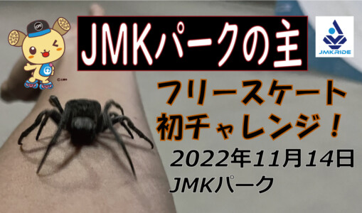 フリースケート – 11月14日 茨城練習会 / JMKRIDE