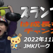 フリースケート – 11月28日 茨城練習会 / JMKRIDE