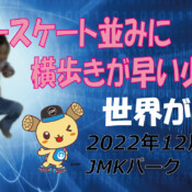 フリースケート – 12月15日 茨城練習会 / JMKRIDE