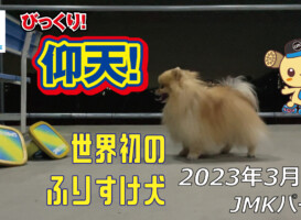 フリースケート – 3月9日 茨城練習会 / JMKRIDE