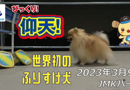 フリースケート – 3月9日 茨城練習会 / JMKRIDE
