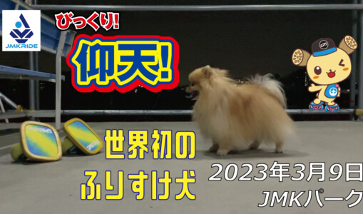 フリースケート – 3月9日 茨城練習会 / JMKRIDE
