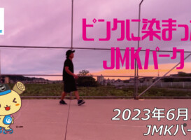 フリースケート – 6月9日 茨城練習会 / JMKRIDE