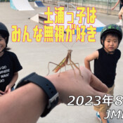 フリースケート – 8月15日 64セッション / JMKRIDE