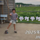 フリースケート – 6月6日 64セッション / JMKRIDE