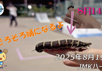 フリースケート – 8月19日 64セッション