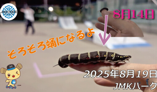 フリースケート – 8月19日 64セッション