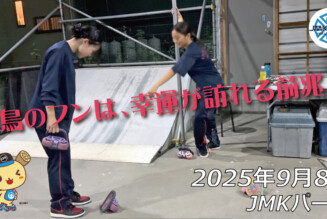 フリースケート – 9月8日 64セッション