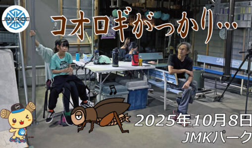 フリースケート – 10月8日 64セッション