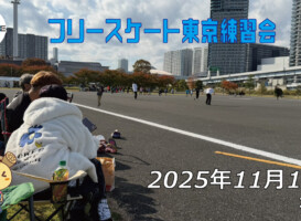 フリースケート – 11月16日 東京練習会