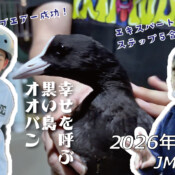 フリースケート – 3月1日 64セッション