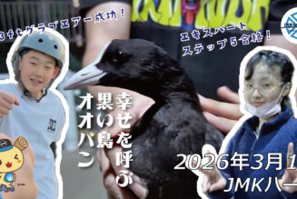 フリースケート – 3月1日 64セッション