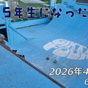 フリースケート – 4月11日 64セッション