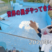 フリースケート – 4月17日 64セッション