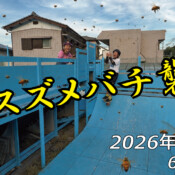 フリースケート – 8月8日 64セッション