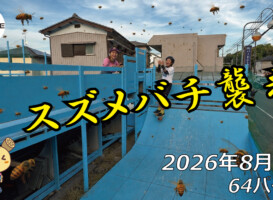 フリースケート – 8月8日 64セッション