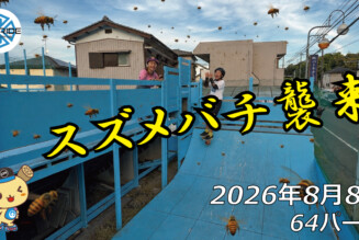 フリースケート – 8月8日 64セッション