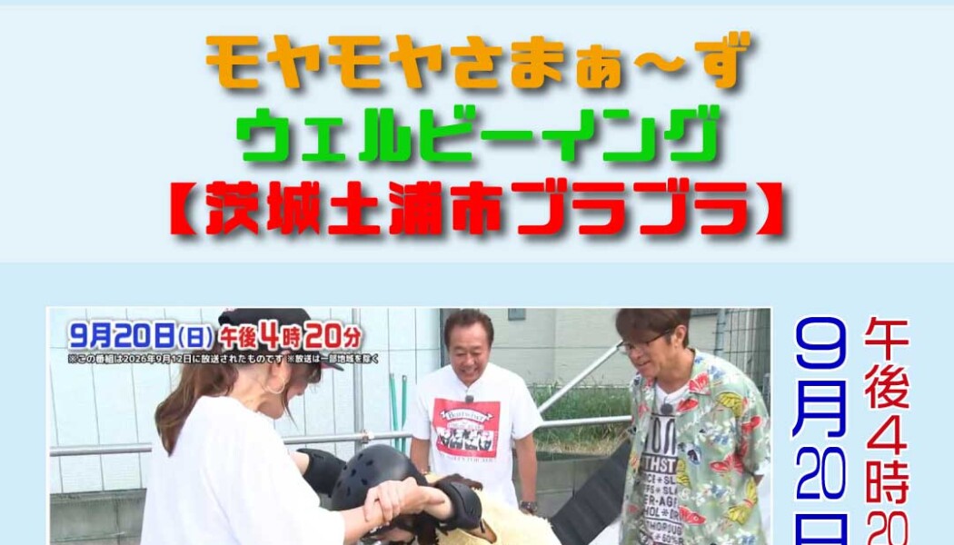 TV出演情報