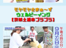 TV出演情報