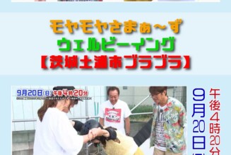 TV出演情報
