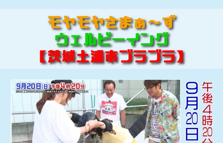 TV出演情報